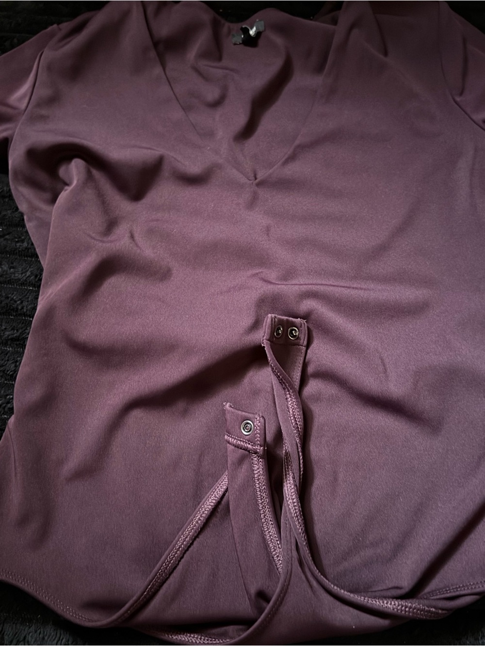 Express Plum Long Sleeve V-Neck Bodysuit